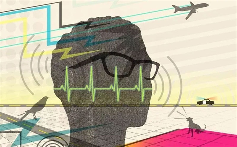 悲劇，聲學處理不好，噪音引發(fā)血案